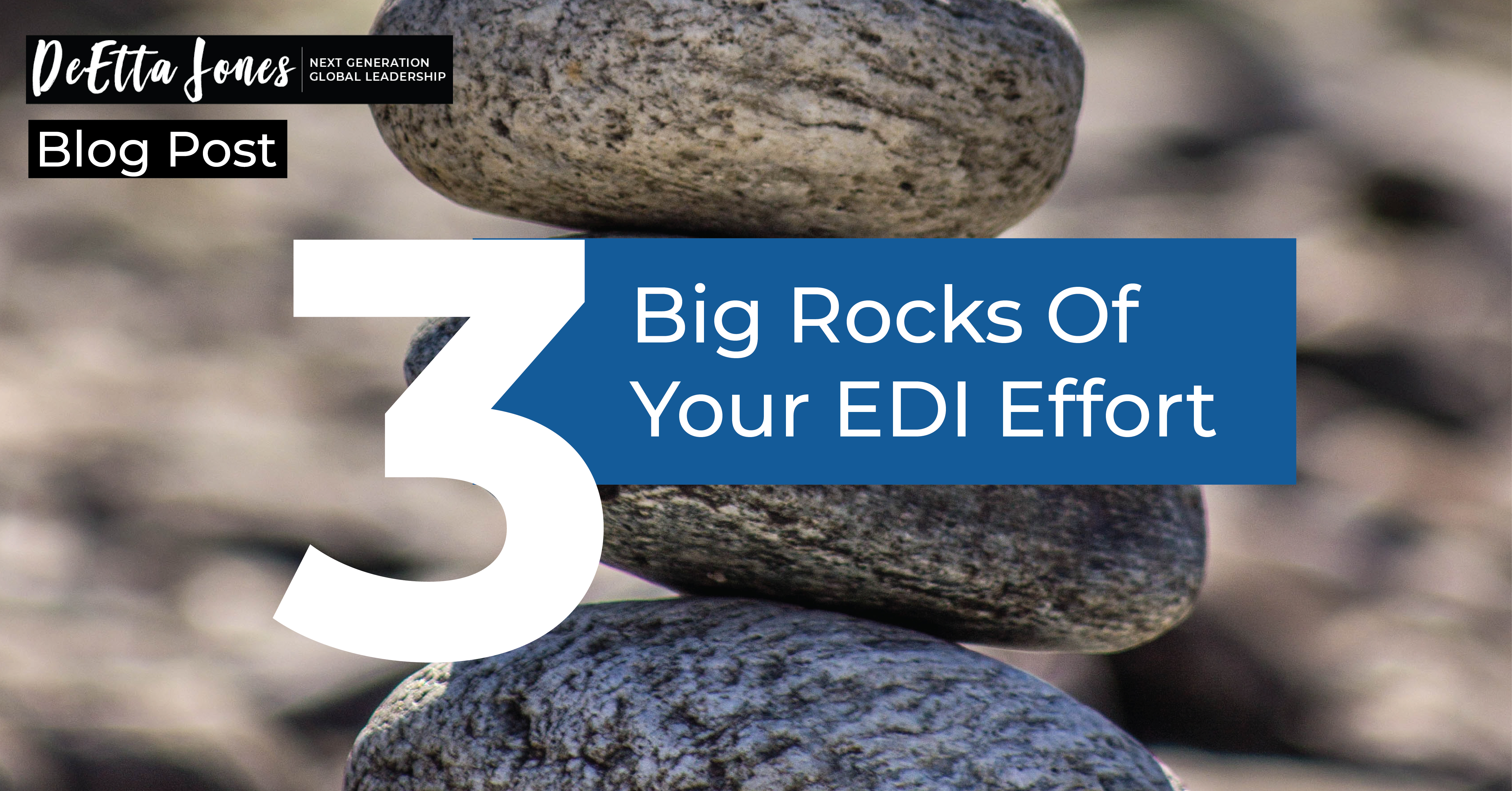 The 3 Big Rocks of Your EDI Effort