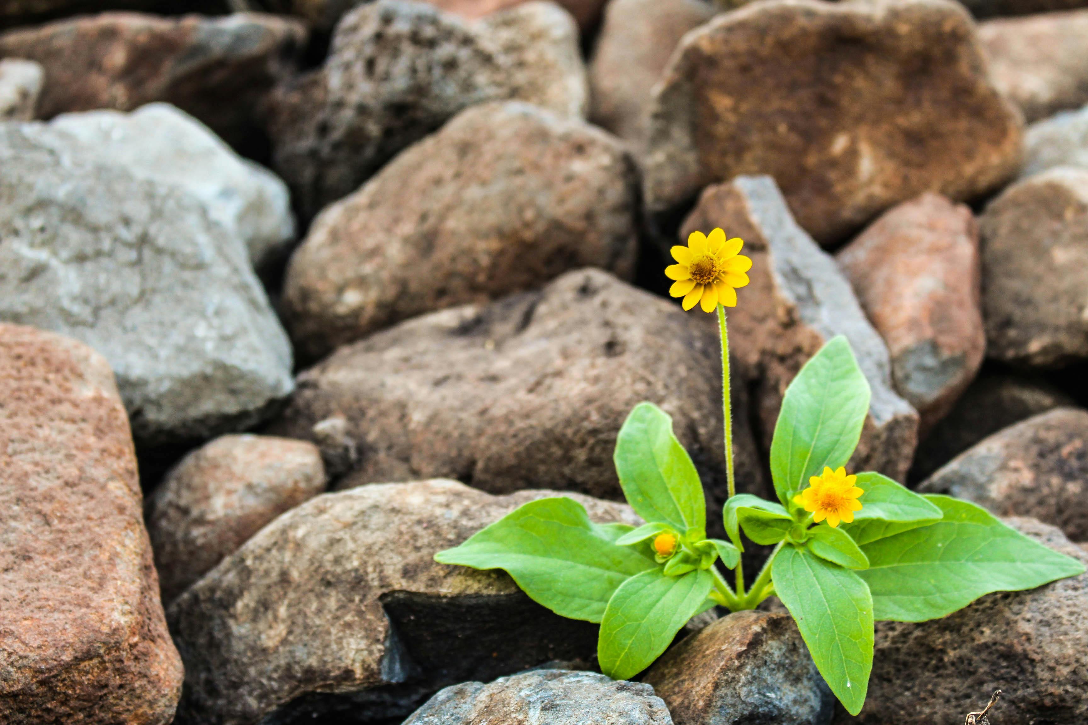 Beyond Resilience